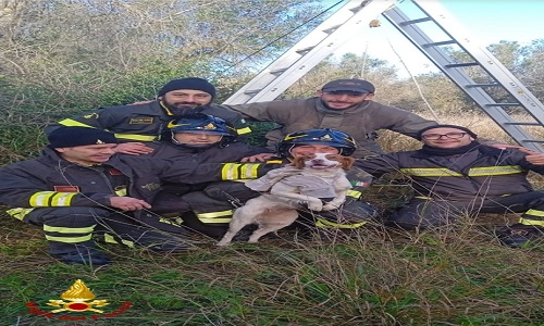 I vigili del fuoco di Brindisi salvano un cane caduto in un pozzo