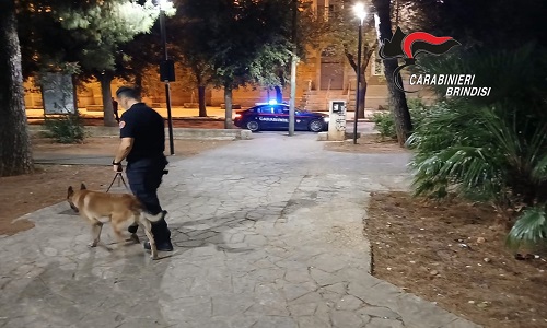  Fasano (BR). Servizi straordinari di controllo del territorio