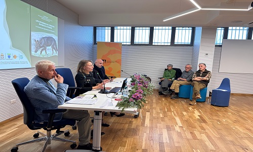 "Lupo appenninico nel territorio provinciale di Brindisi - la comunicazione giornalistica e multimediale"